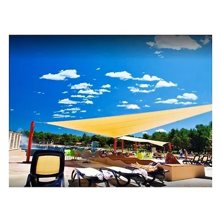 In With Swimming Pool Holiday home Umag