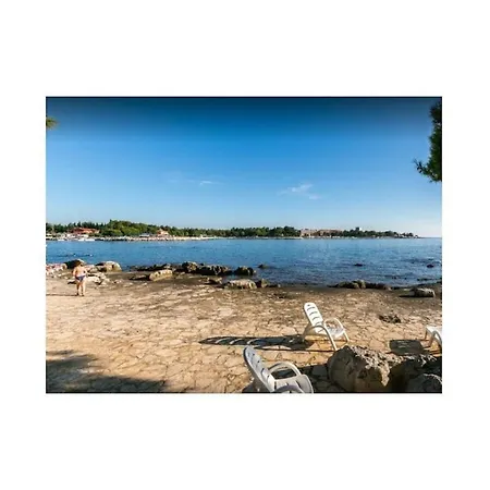 Casa vacanze In With Swimming Pool